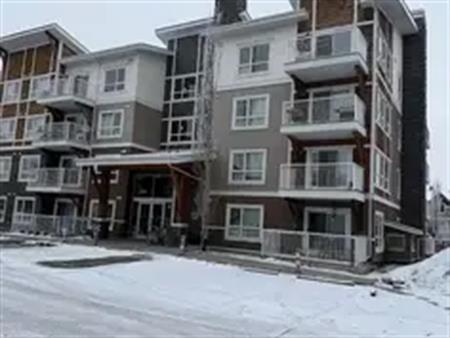 Apartment for Rent in Skyview   2 Bed | 2 Bath | Underground Parking | 3409 - 302 Skyview Ranch Drive, Calgary