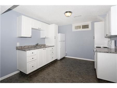 Renovated 2 Bedroom in Capitol Hill | 2731 17A St NW, Calgary