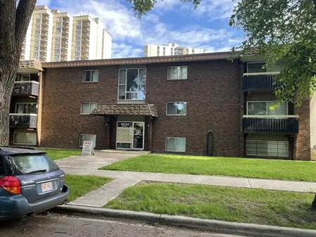 quite one bedroom BASEMENT SUITE | 104 - 10126 87 Avenue Northwest, Edmonton