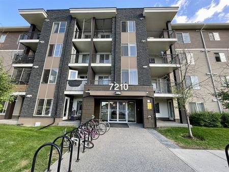 2 Bedroom 2 Bathroom Indigo Sky Condo | 122 - 7210 80 Avenue NE, Calgary