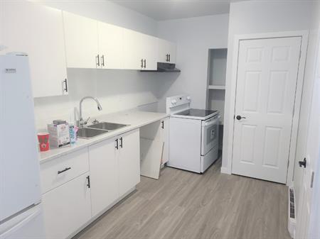 Fully Renovated 1 Bedroom Apartment Across from HSC | 786 Toronto Street, Winnipeg