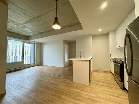 Villeray - Superbe Condo 4 1/2 Neuf