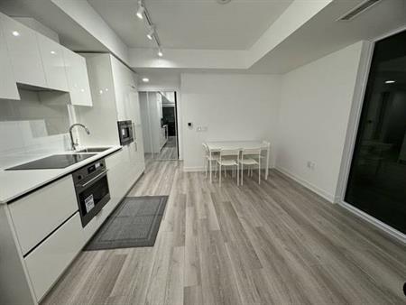 1Bed+1Bath in Heart of DT Toronto For Rent