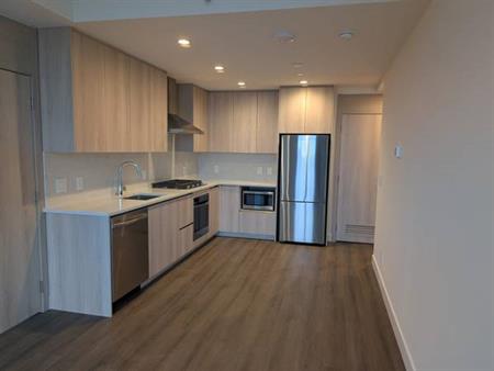 2025 brand new 2 bed 2 bath condo for rent