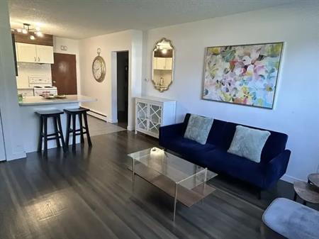 Modern 1 Bedroom with Garage and Storage in Prime Britannia Location | Calgary