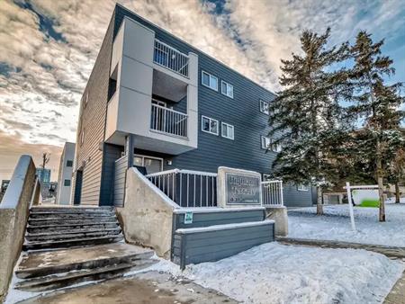 2 Bedroom Condo - Minutes from the heart of Downtown | 103 - 431 1 Ave NE, Calgary