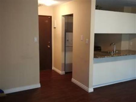 Large 1 bedroom