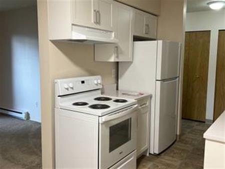 RENOVATED Two bedroom units in a PET FRIENDLY BUILDING