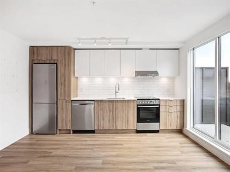 JR.1BR/Studio - Pet Friendly! A/C in Suite - Brand NEW! Amazing Views