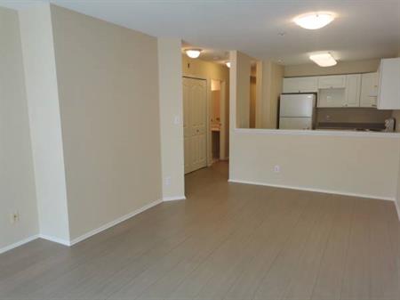 all new appliances new floor one bedroom apartment Maple Ridge