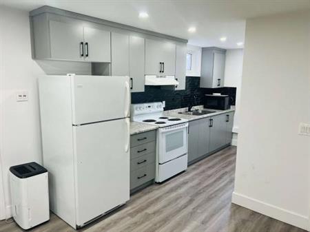 Renovated 2-Bed + Parking/Hydro/Water/Gas Incl! (Main St E)