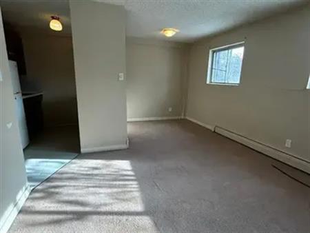 Bachelor Suite & 1 Bdrm Available North Central | 12708 90 St Unit, Edmonton