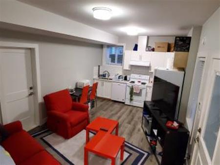 1 bedroom basement suite