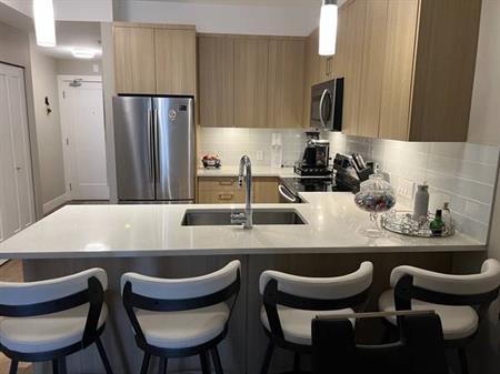 Large 1 Bed & Den with Patio | New Building | Pitt Meadows