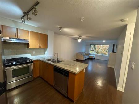 Burnaby Brentwood/ 2 bed+2 bath+2 parking