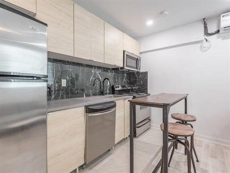 Mcgill Ghetto, 3 bed, renovated, Furnished, Students rental