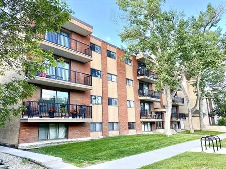 Cozy 1 Bedroom unit Available Sunalta | Calgary