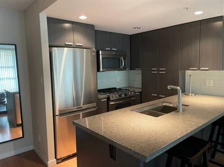 1 Bedroom 1 Bathroom Condo Brentwood - Affinity tower