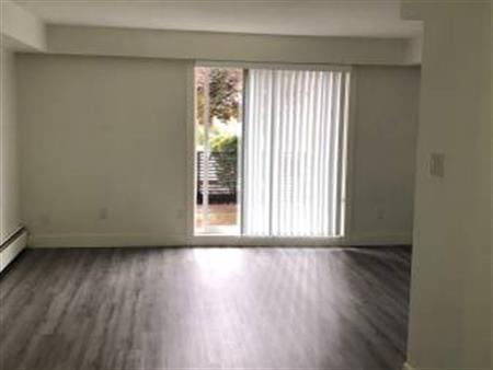 Newly Renovated - Large Studio Apartment