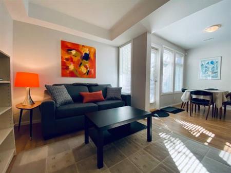 1 BR Furnished, Bright Suite