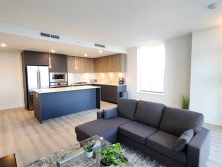 Amazing Views - Brand New Fully Furnished 1 Bed+Den 1 Bath Condo