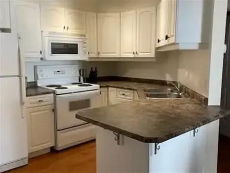 (PN1241) Top-Floor 1-Bedroom Condo | 10308 114 St Nw, Edmonton