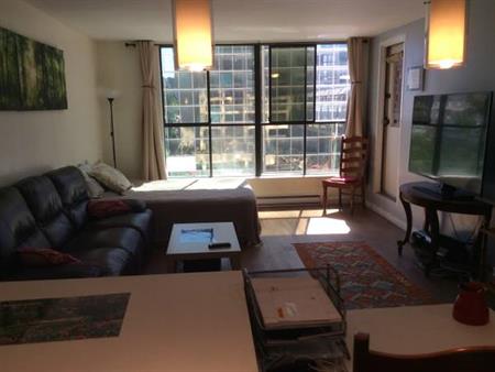 Downtown Vancouver, beautiful one bdr. furnished apt.