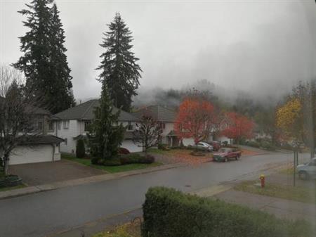 Near Coquitlam centre 3bed +2bath upper level