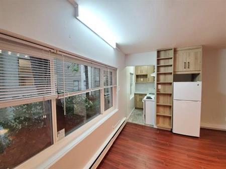 Cozy Studio + Den in downtown New Westminster