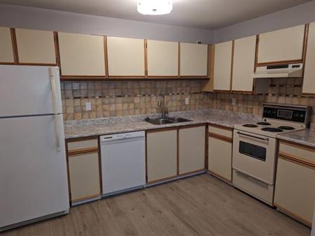 Renovated 1BR 650sq/ft Apartment for Rent - $1,700