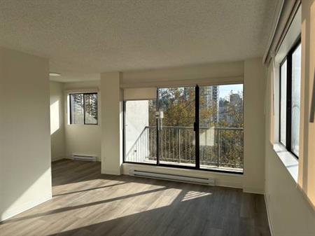 2-Bedroom Fully Renovated close to SkyTrain (Lougheed)