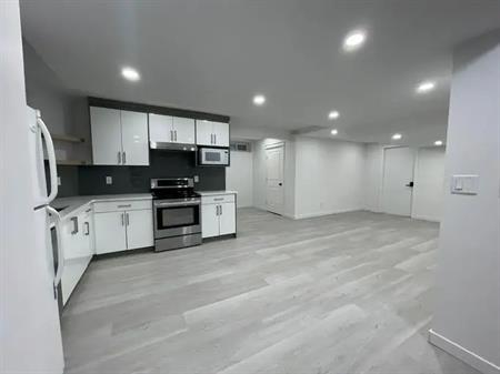 Newly BUILT basement for rent in Edgemont | 183 Edgepark Way Northwest, Calgary