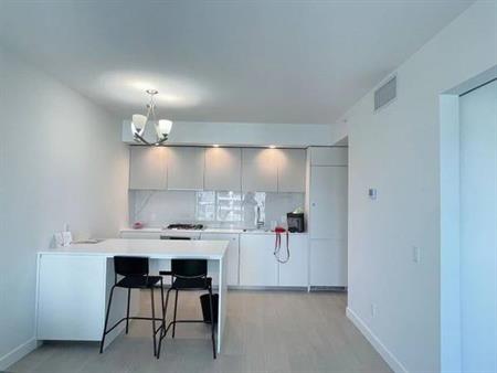 Burnaby Metrotown 1bed1bath Apt