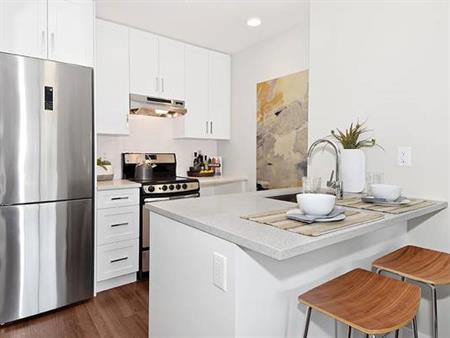 Modern 1 bed in the heart of Lonsdale. Pet friendly & great amenities