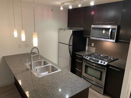 1Bed 1Bath Condo + Parking + Storage - Coquitlam Centre