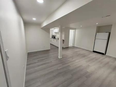 Newly Renovated Basement | 212 Lynnview Way Southeast, Calgary