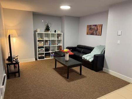 1-Br 1 Ba Basement Suite for Rent