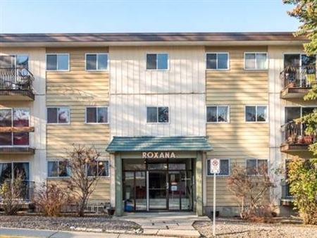 2 Bedroom 1 Bathroom Unit in Salmon Arm