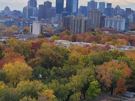 Vue Du Centre-ville/parc LaFontaine