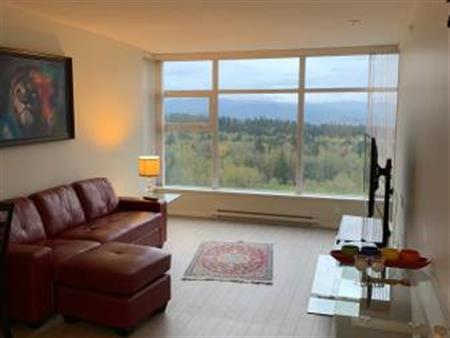 Beautiful 2 Bedroom 2 Bathroom on the 26th Floor (Mountain View!)