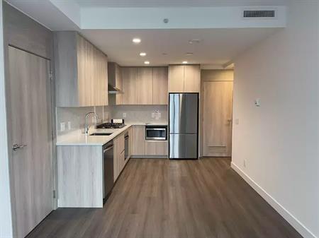 A 2 Bedroom 2 Bathroom Brand New Unit close to Gateway Skytrain Station | 10731 King George Boulevard, Surrey