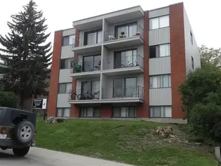 Cedar Place 1 bedroom $1500 - New laminate hardwood flooring | 2111 16a St SW, Calgary