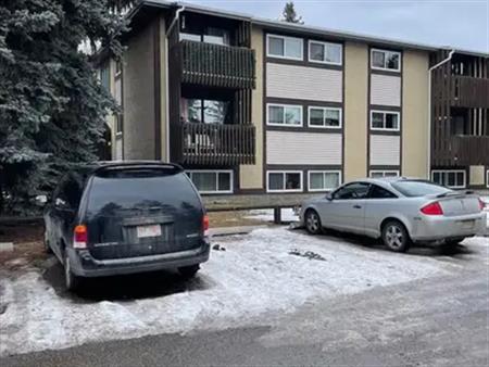 Freshly Renovated 1 Bed Room Condo | 50 - 366 94 Avenue SE, Calgary