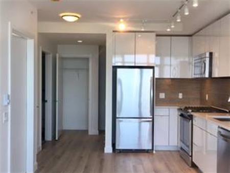 Bright 1 bed/1 bath in The Sapperton at Brewery District for rent