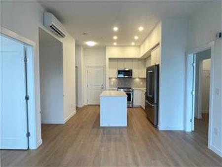 Brand New - Spacious 2 Bedroom w/ AC and 2 Full Bathroom Ensuites