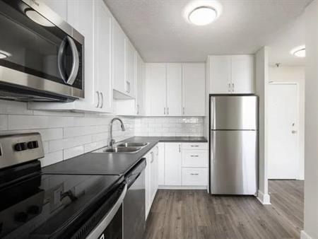 Pet-Friendly Suites with Open-Concept Kitchens (Albert St)