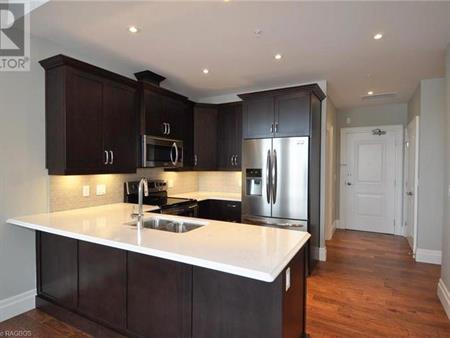 Bright, Modern Condo Downtown – Must See Available March 1st | 945 3rd Avenue West, Owen Sound