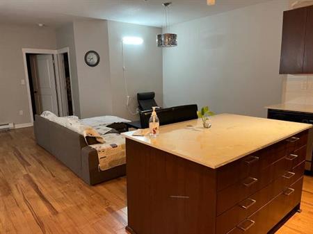 Two bedroom apartment for rent near Surrey Central