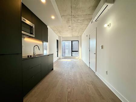 Ville-Marie-Superbe Condo 3 1/2 - July 1