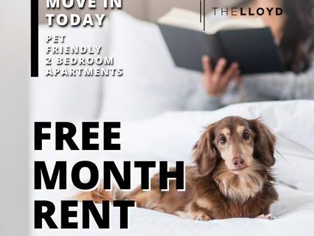 The Lloyd ✨ Pet Friendly Rental Apartments in North Van